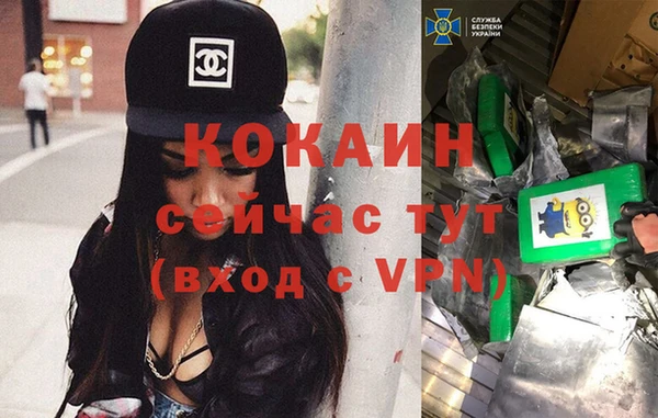тгк Алзамай